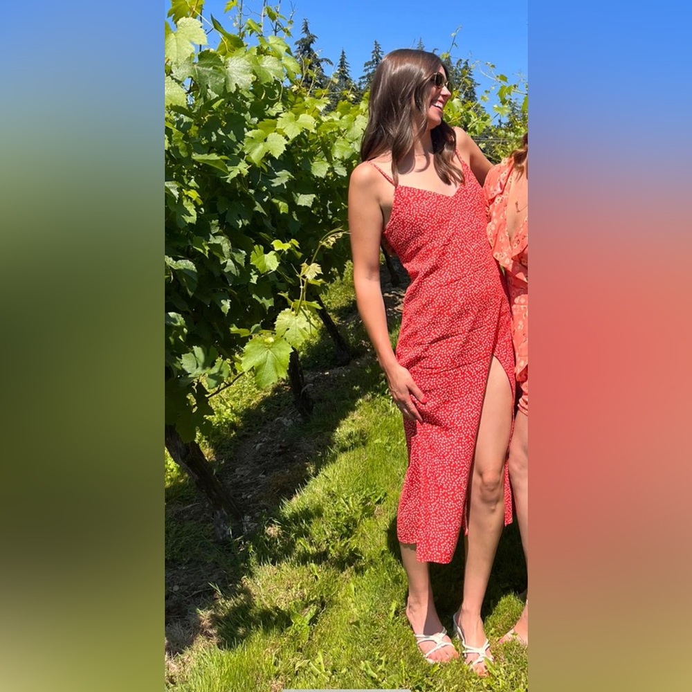 Reformation Crimini Dress